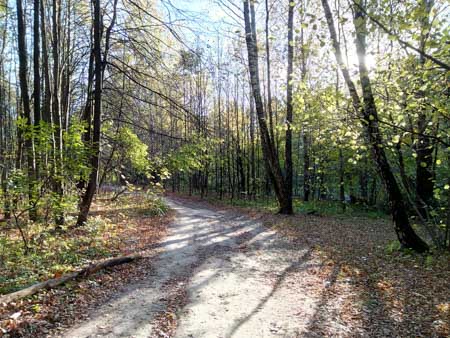 450x338  51 KB. Big one: 4608x3456  5541 KB