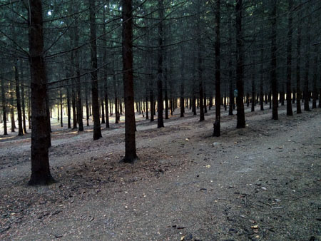 450x338  56 KB. Big one: 4608x3456  5255 KB