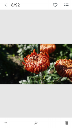 253x449  75 KB. Big one: 720x1280  462 KB