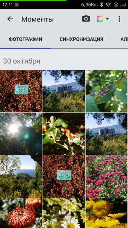 253x449  196 KB. Big one: 720x1280  1415 KB