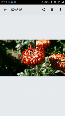 253x449  82 KB. Big one: 720x1280  495 KB