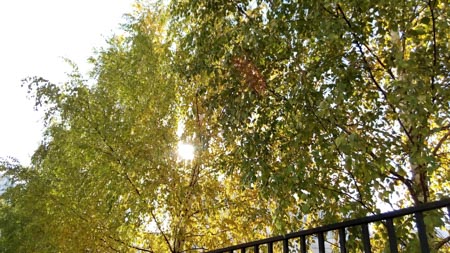 450x253  53 KB. Big one: 3840x2160  2552 KB