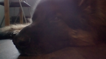 450x253  57 KB. Big one: 3072x1728  301 KB