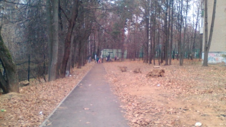 448x252  77 KB. Big one: 2560x1440  1504 KB