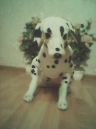 336x448  50 KB. Big one: 1536x2048  530 KB