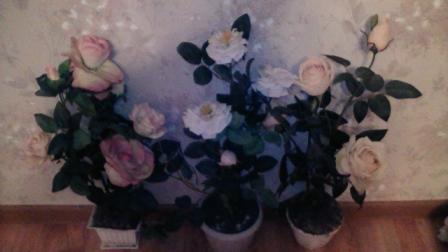 448x252  61 KB. Big one: 2560x1440  1229 KB