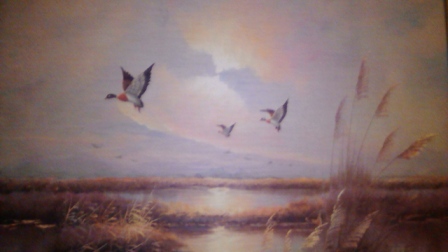 448x252  47 KB. Big one: 2560x1440  1002 KB