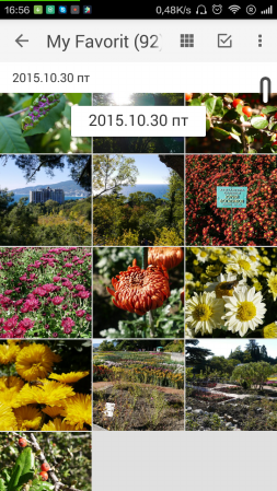 253x449  199 KB. Big one: 720x1280  1416 KB