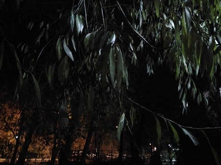 450x337  54 KB. Big one: 4096x3072  3092 KB