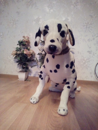 336x448  57 KB. Big one: 2448x3264  1860 KB