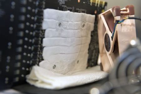 450x301  26 KB. Big one: 2500x1668  419 KB