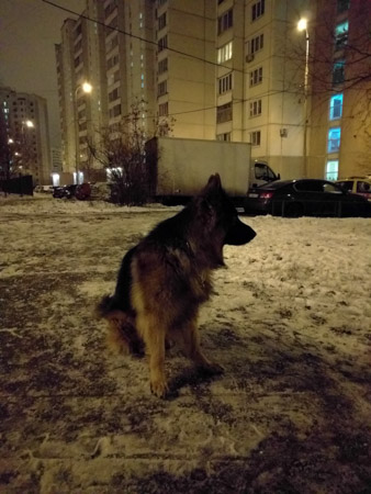 338x450  55 KB. Big one: 3024x4032  1467 KB