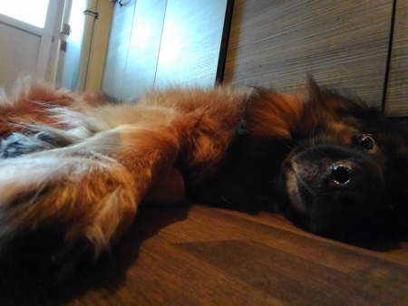 450x338  51 KB. Big one: 2592x1944  456 KB