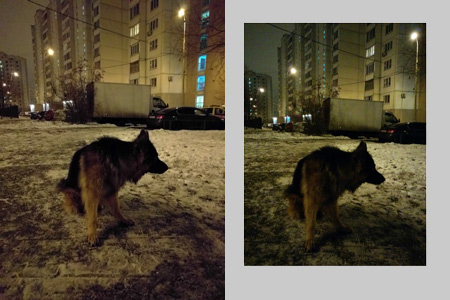 450x300  59 KB. Big one: 1500x1000  443 KB