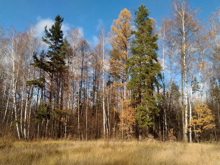 450x338  66 KB. Big one: 4096x3072  5062 KB