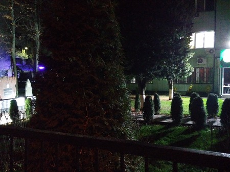 450x337  55 KB. Big one: 4160x3120  6000 KB