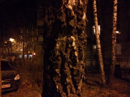 450x337  53 KB. Big one: 4160x3120  5814 KB