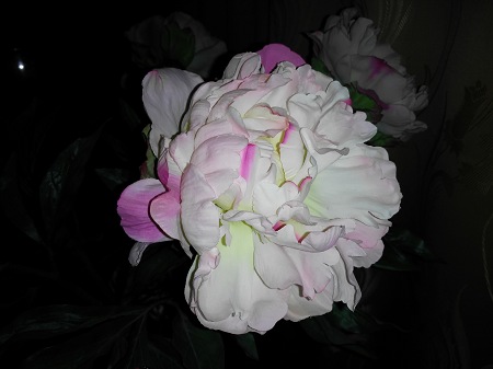 450x337  33 KB. Big one: 4160x3120  3504 KB