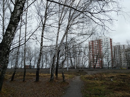 450x337  96 KB. Big one: 4160x3120  9350 KB