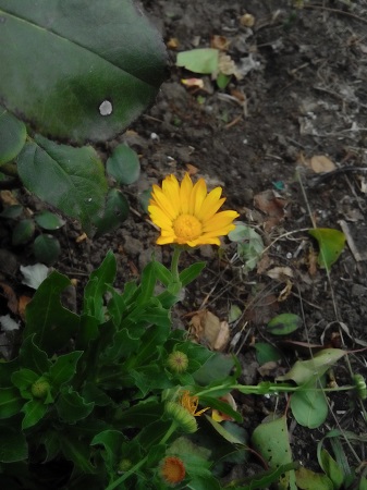 337x450  113 KB. Big one: 2448x3264  1619 KB