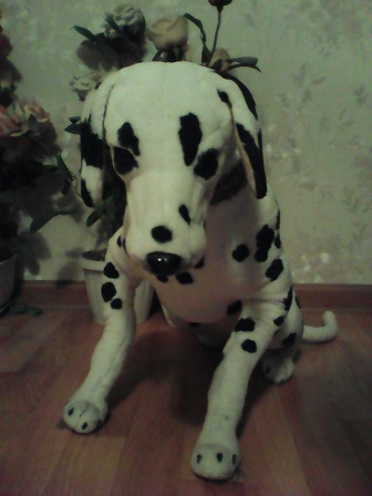 336x448  52 KB. Big one: 1200x1600  506 KB