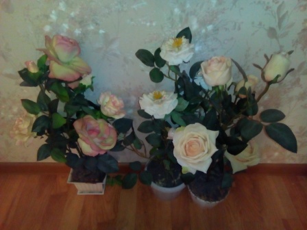 448x336  55 KB. Big one: 3264x2448  2298 KB