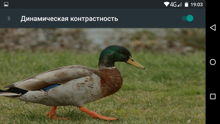 450x253  150 KB. Big one: 1500x844  1228 KB