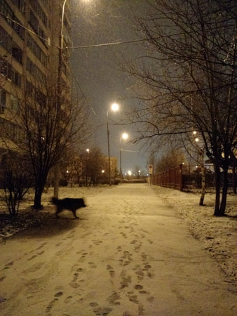 338x450  58 KB. Big one: 3120x4160  2691 KB