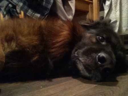 450x338  48 KB. Big one: 1440x1080  273 KB