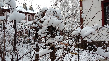 450x253  77 KB. Big one: 4096x2304  5085 KB