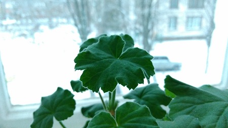 450x253  32 KB. Big one: 4096x2304  2603 KB