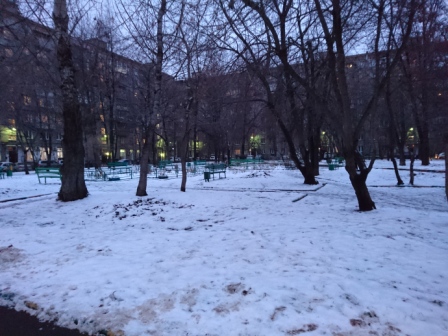 448x336  117 KB. Big one: 5520x4140  8657 KB