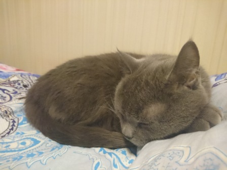 448x336  61 KB. Big one: 5520x4140  4237 KB