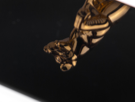 450x342  42 KB. Big one: 1500x1141  396 KB