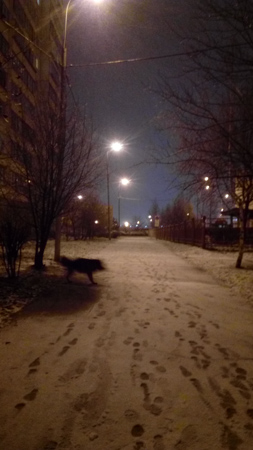 253x450  59 KB. Big one: 2304x4096  1240 KB