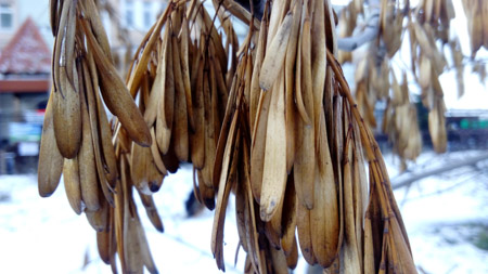 450x253  49 KB. Big one: 4096x2304  1865 KB