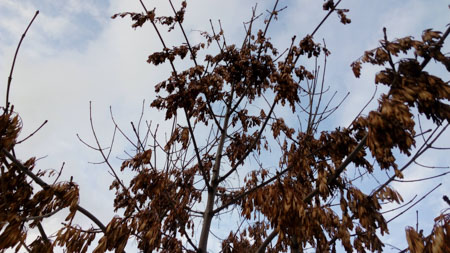 450x253  52 KB. Big one: 4096x2304  1947 KB