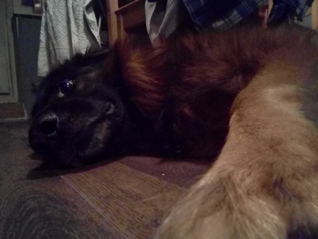 450x338  47 KB. Big one: 2560x1920  596 KB