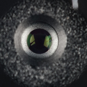 300x300  32 KB. Big one: 818x818  210 KB