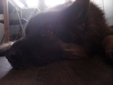 450x338  49 KB. Big one: 2560x1920  320 KB