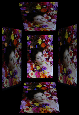 310x450  194 KB. Big one: 1033x1500  1756 KB