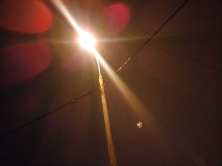 450x338  53 KB. Big one: 4160x3120  2113 KB