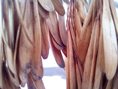 450x338  59 KB. Big one: 4160x3120  2336 KB