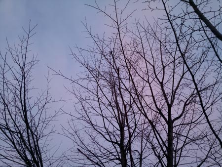 450x338  56 KB. Big one: 4160x3120  3233 KB