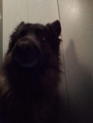 300x399  12 KB. Big one: 1920x2560  689 KB