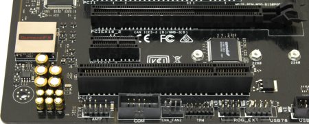 450x181  26 KB. Big one: 1000x402  96 KB