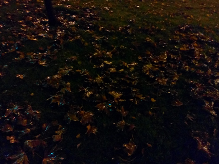 450x338  150 KB. Big one: 4608x3456  3306 KB