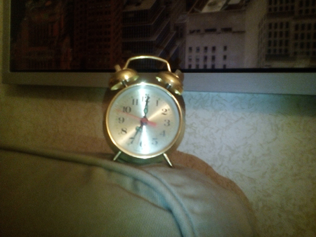 450x338  138 KB. Big one: 3264x2448  3667 KB