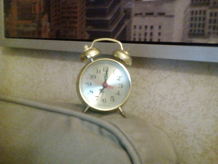 450x338  165 KB. Big one: 3264x2448  3621 KB