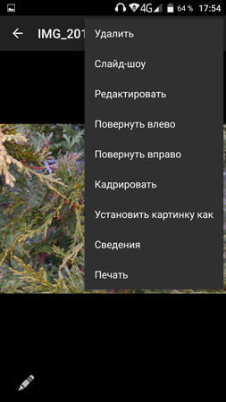 253x450  76 KB. Big one: 844x1500  527 KB